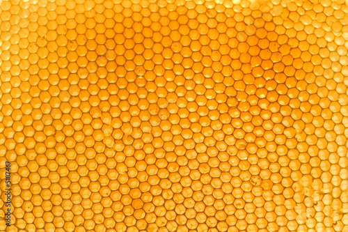 Bienenwabe