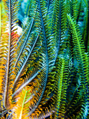 détail sous-marin