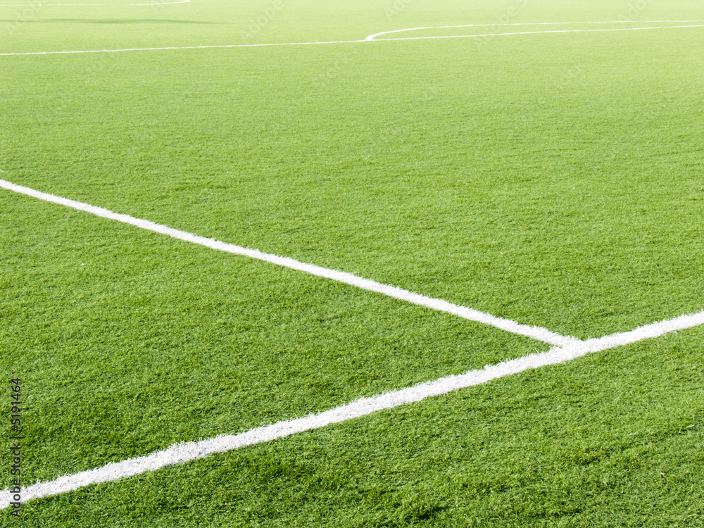 Obraz premium Soccer field