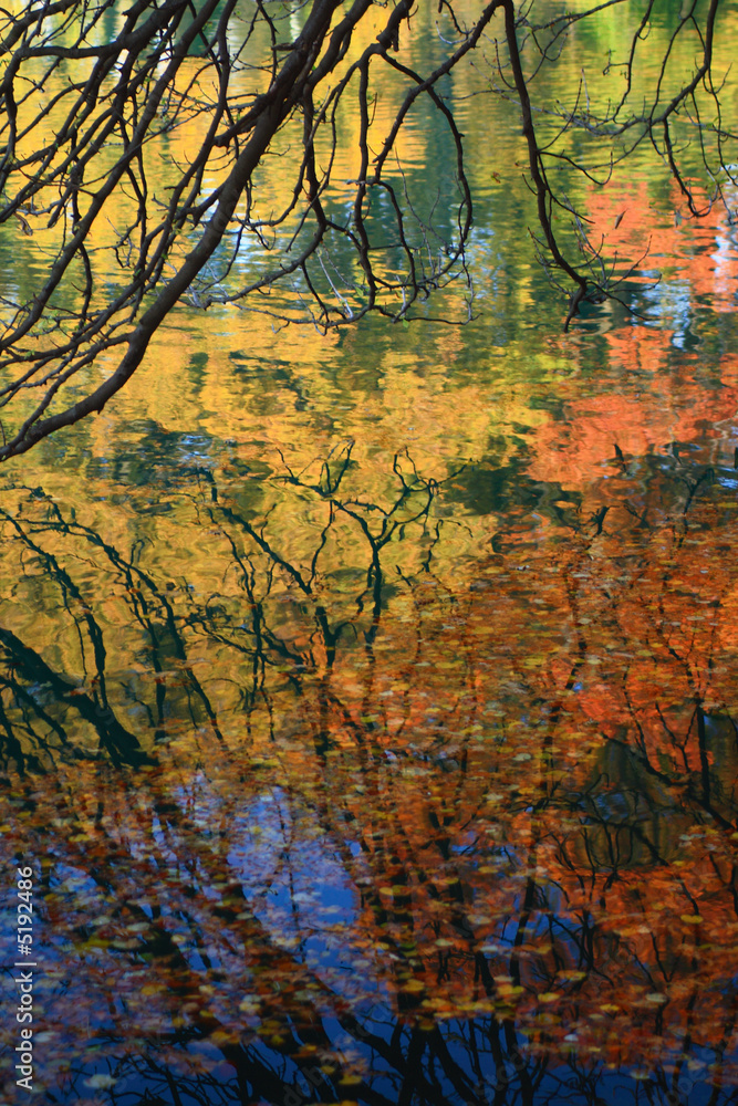 Autumn reflections in the water