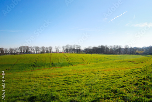 beautiful view of the landscape