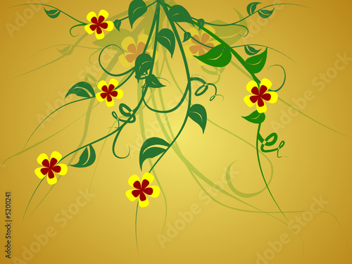 flowers on a creeper