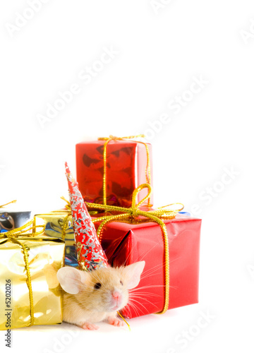 Boxes of gifts and  mousy photo