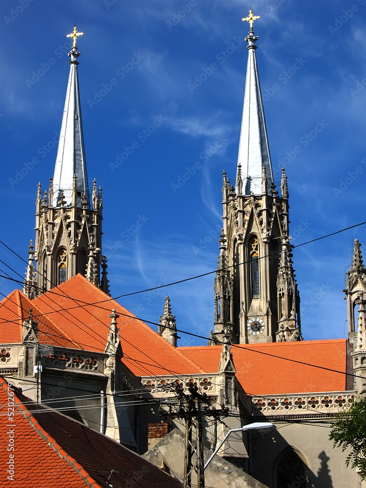 Fototapeta premium gothic cathedral