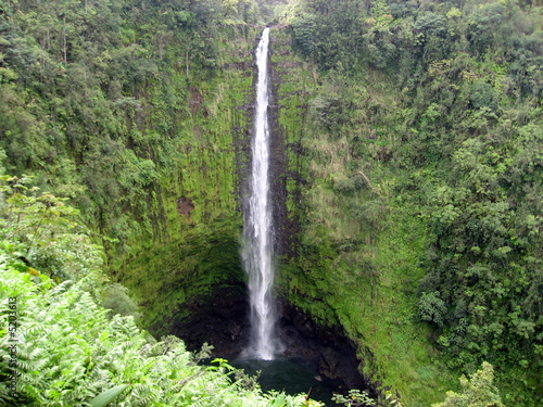 Akaka Fall,Hawai