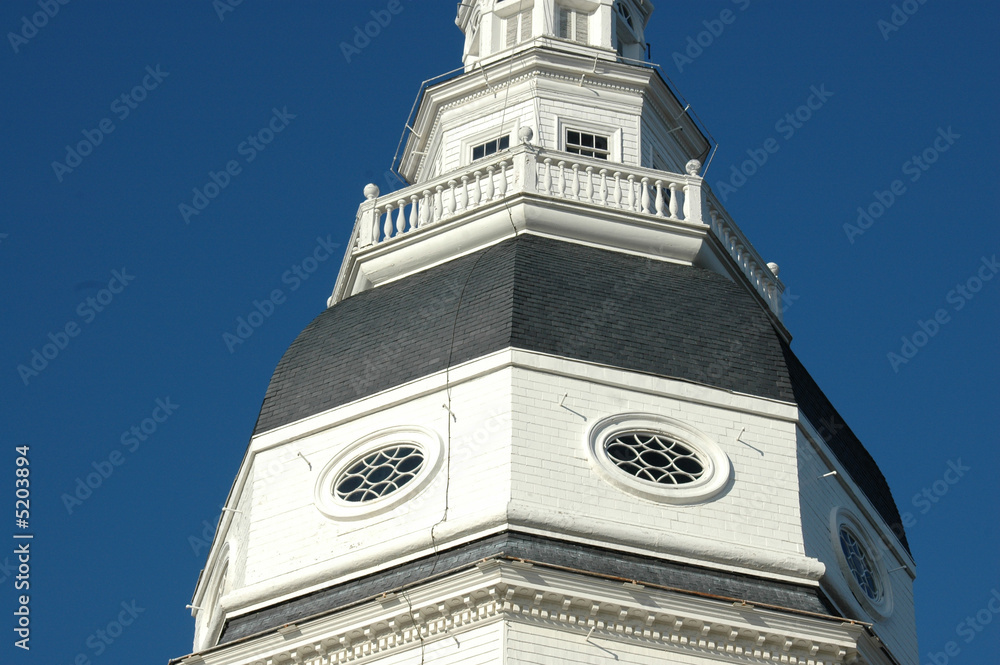 Obraz premium Capitol Dome