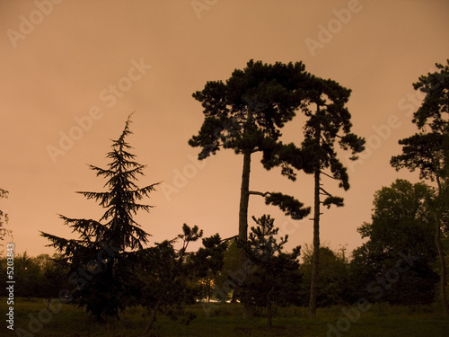Bois  de Vincennes