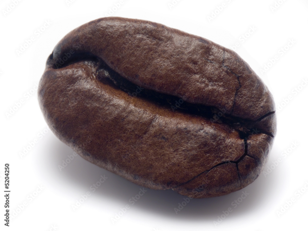 Obraz premium Coffee bean