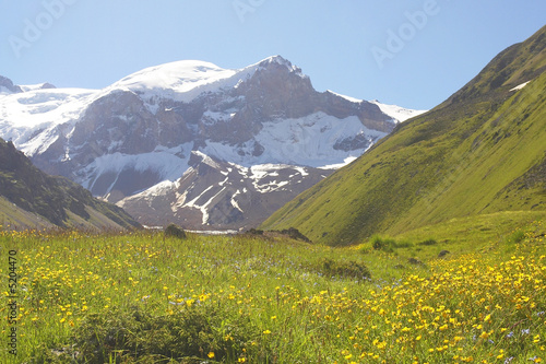 Caucasus mountains