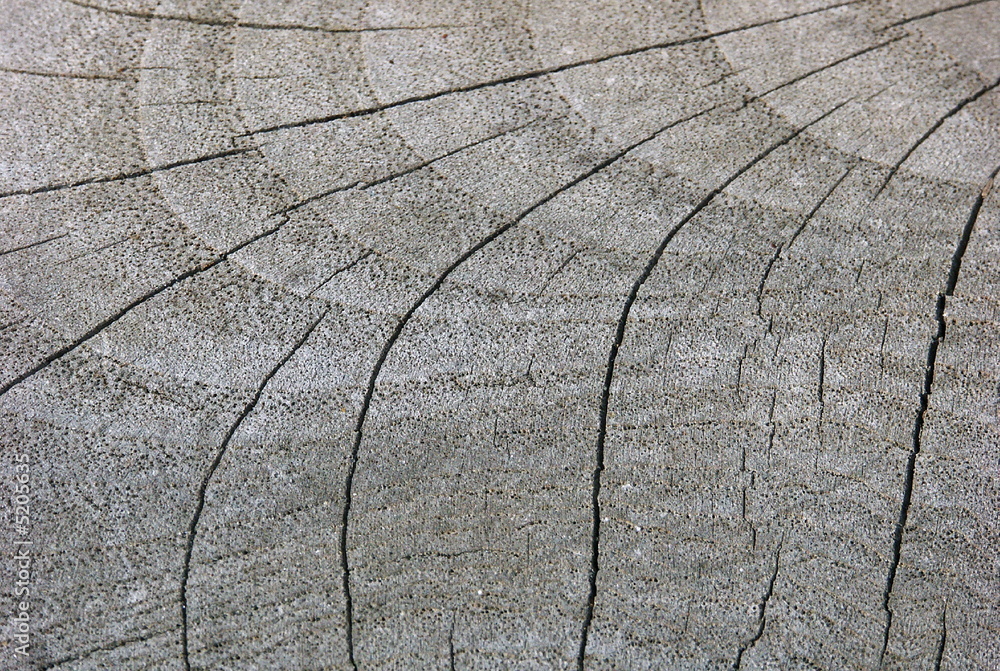 Fototapeta premium Risse