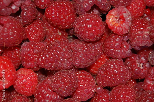 raspberry photo