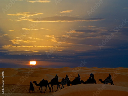 Desert Ride by camel in Tunisia