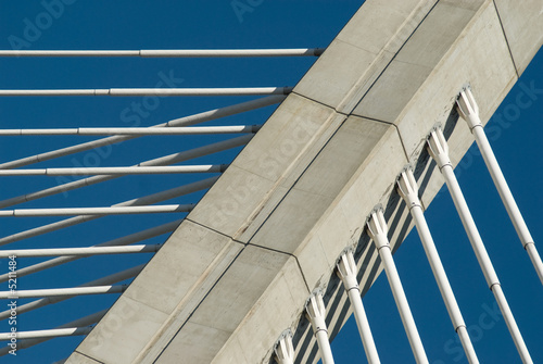 Cables of a bridge pylon