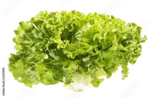 fresh green salad