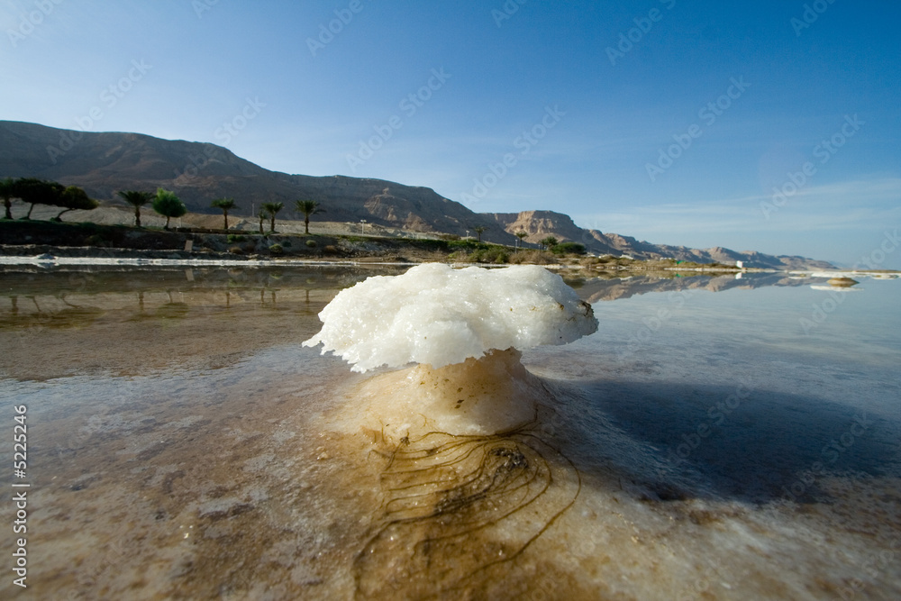 How to get a picture of a salt island in the Dead Sea