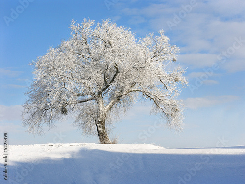 winter