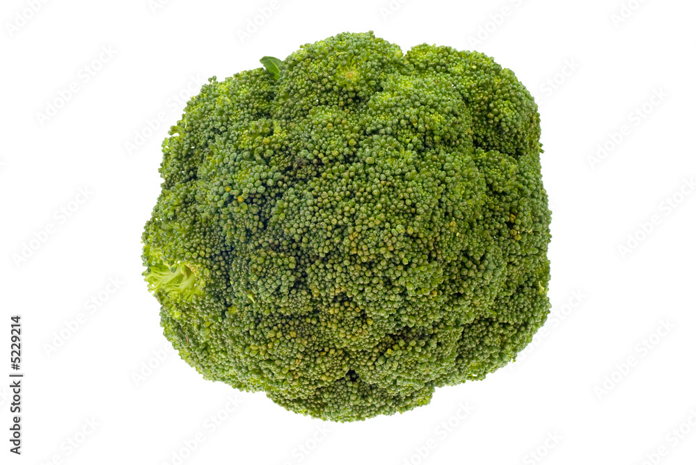 fresh broccoli fresh broccoli
