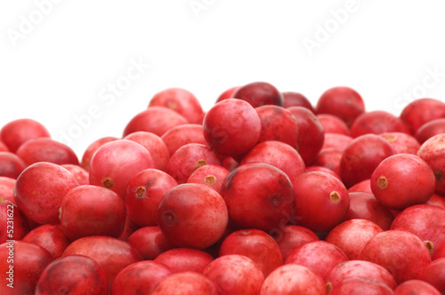 cranberry on white background photo