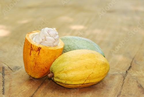 cacao 6