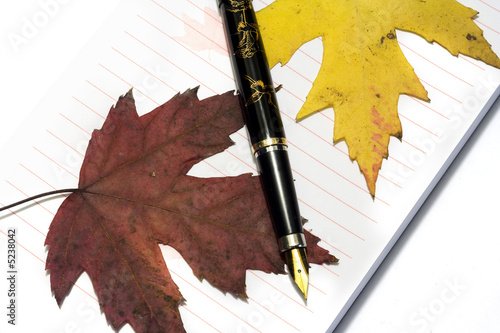 Ink pen with blocknote and fall golden leafs 1 photo