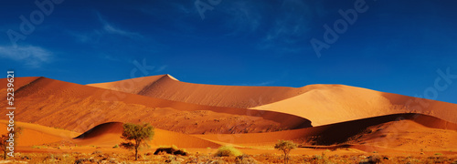 Plakat Namib Desert