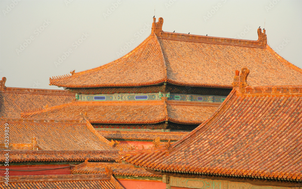 Forbidden city
