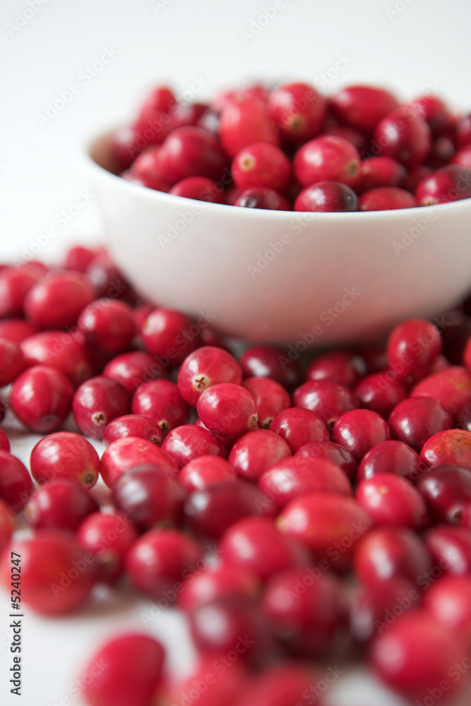 Cranberries Cranberries