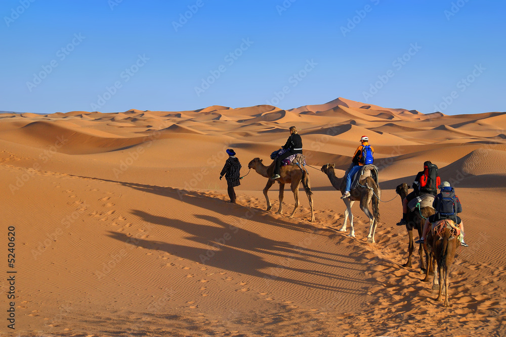 Marocco,  deserto del Sahara