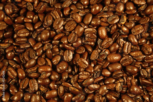 Coffee Beans