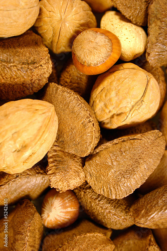 Mixed Nuts - Vertical
