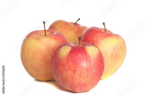Many red apples on a white background
