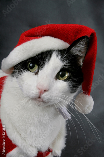 Ready for Christmas