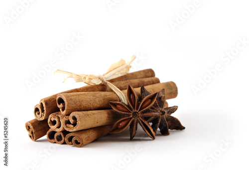 Bundle of cinnamon sticks