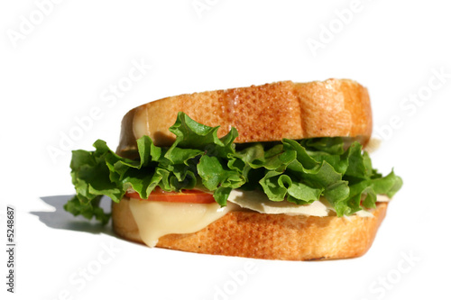 Turkey Sandwich