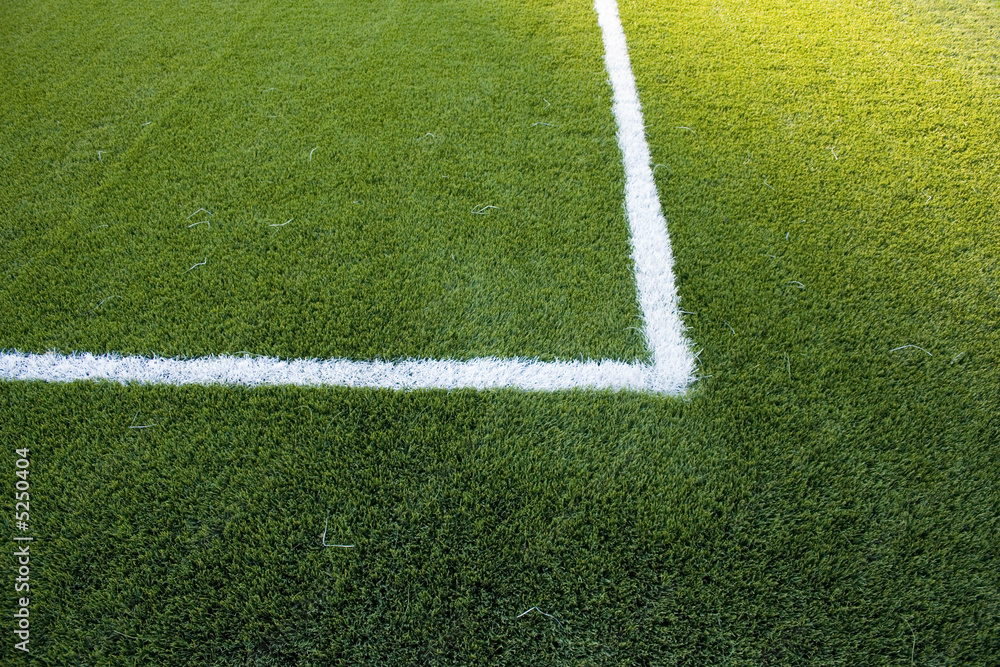 Obraz premium lines in the grass field