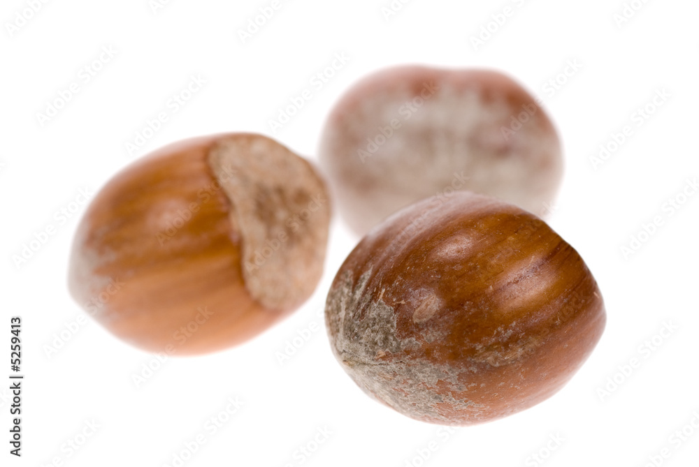 Obraz premium hazelnuts
