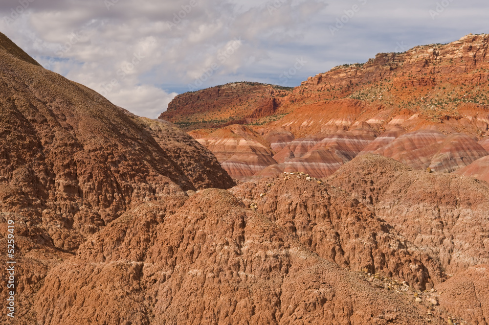 Fototapeta premium Landscape Grand Staircase Escalante National Monument