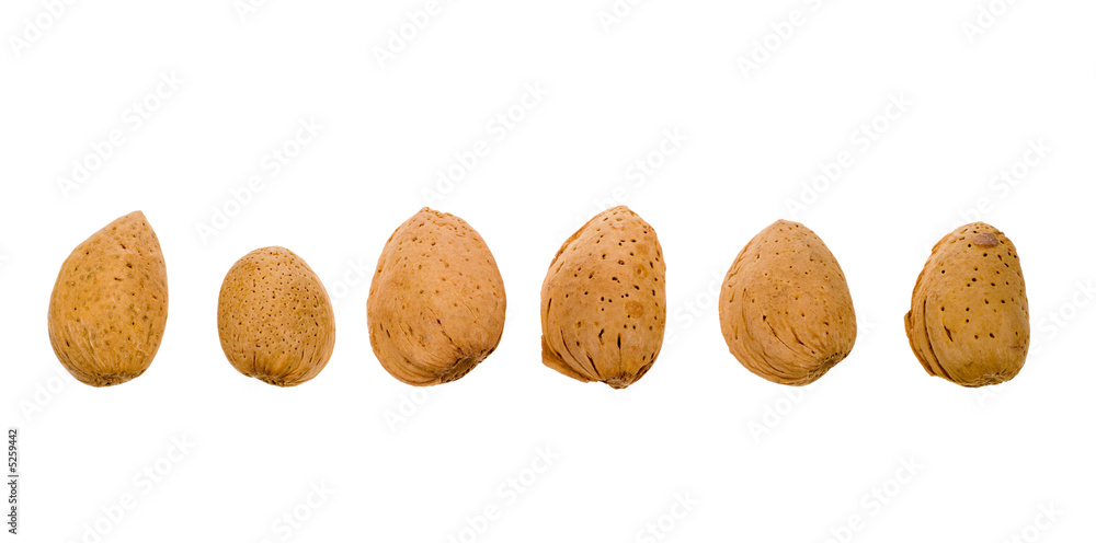 almonds in shell almonds in shell