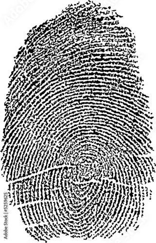 Fingerprint