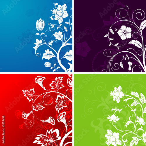 Set flower background, element for design, vector illustration