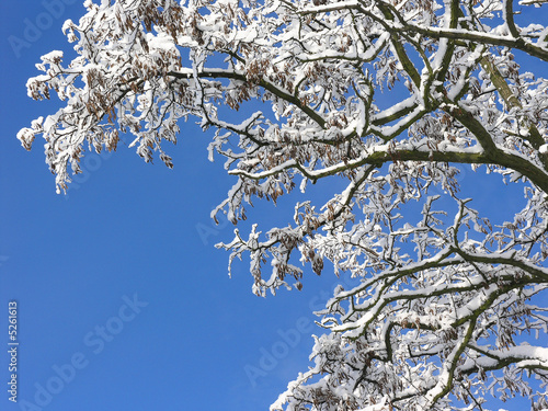 winter