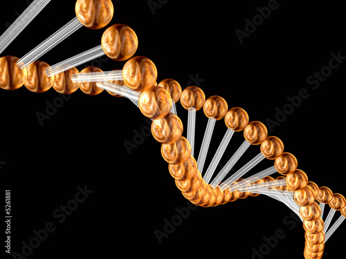 3d genetic code