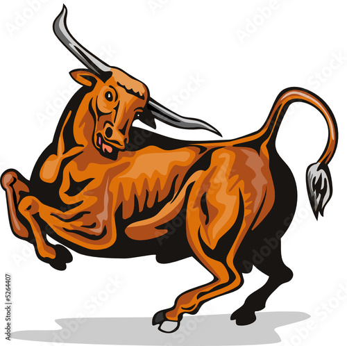 Charging texas longhorn bull