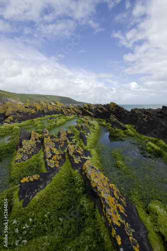 Rugged Coastline in Ireland