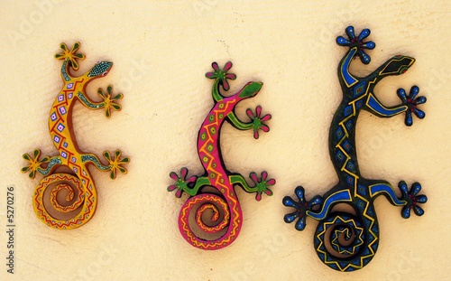 lizards