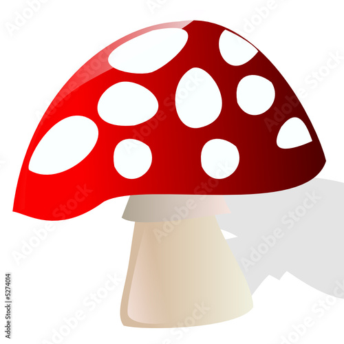 champignon