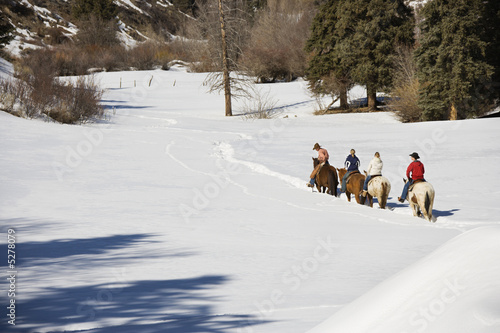 Group horseback riding in winter.
