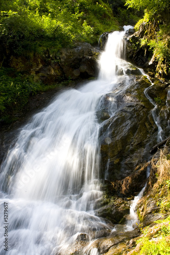 Fototapeta Naklejka Na Ścianę i Meble -  Bachlauf / Wasserfall in Österreich