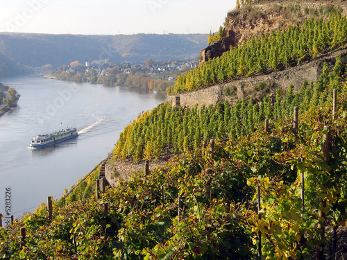Winninger Weinberge im Herbst