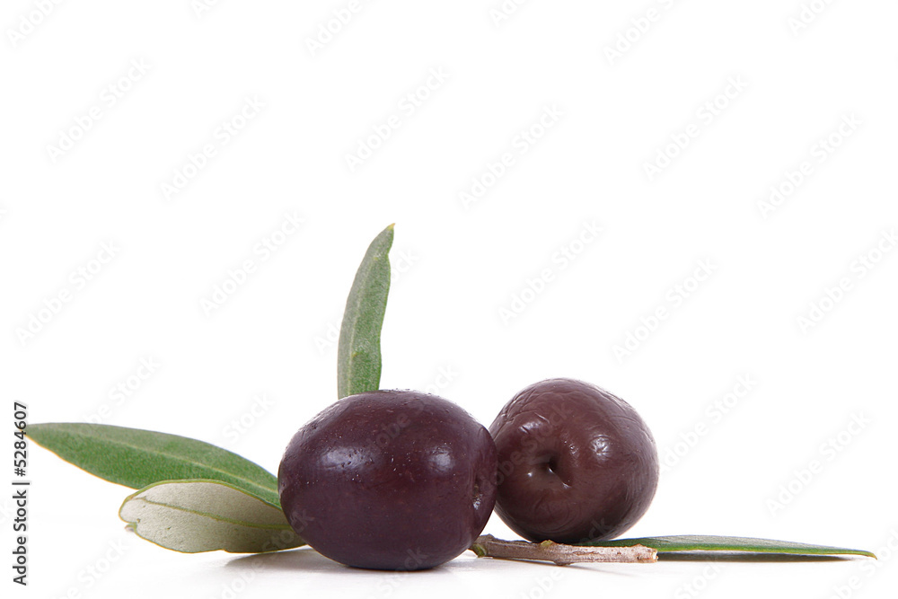 Obraz premium olive 105